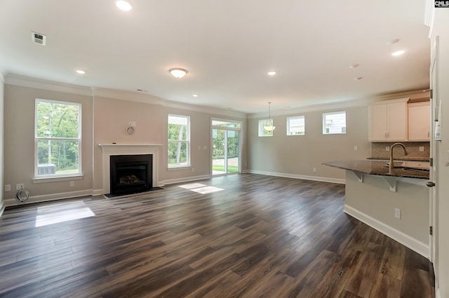 unfurnished living room featuring crown molding, sink, and dark hardwood / wood-style flooring