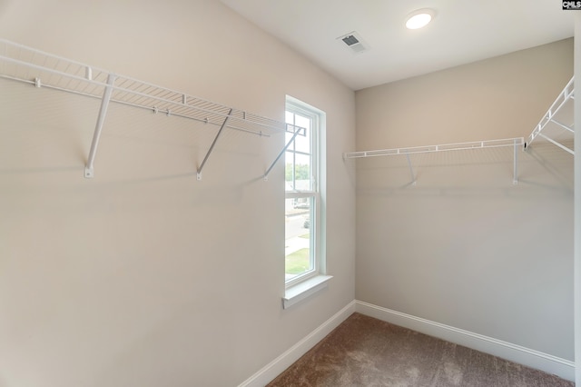 spacious closet featuring carpet flooring