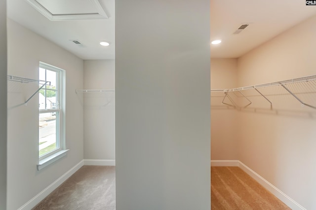 walk in closet featuring light carpet