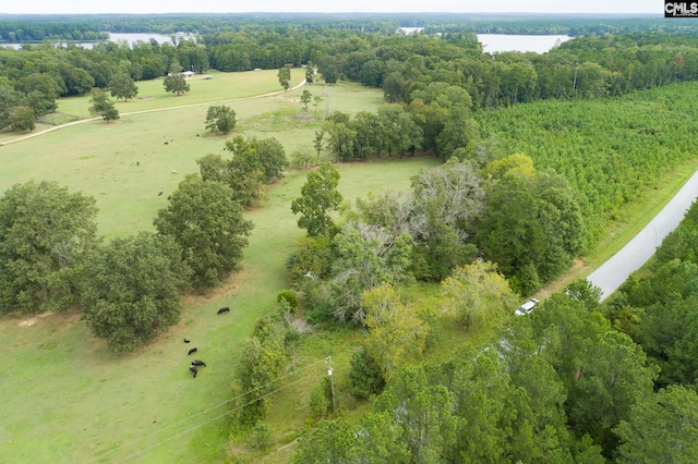 Listing photo 2 for 421 Fannie Black Rd, Prosperity SC 29127