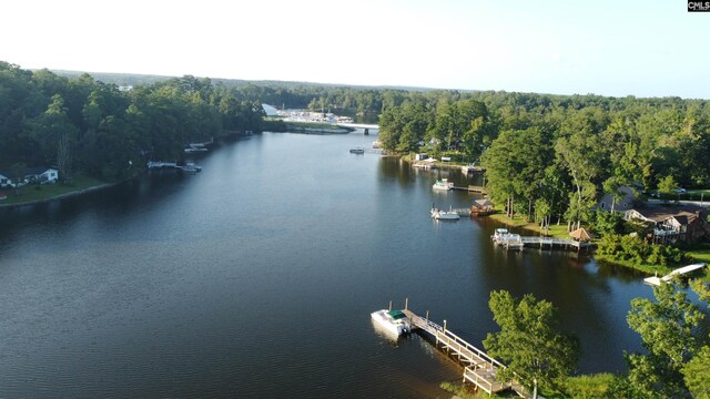 water view with a dock