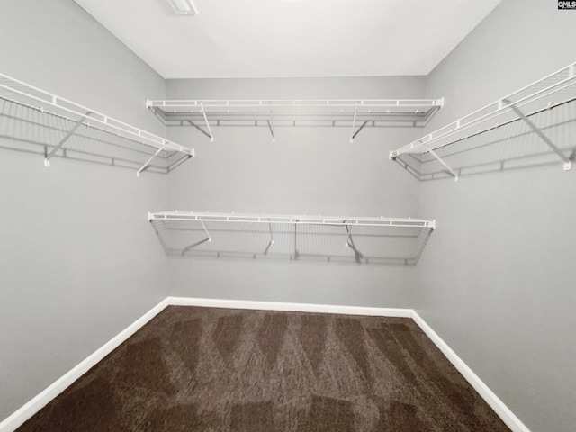 spacious closet with carpet