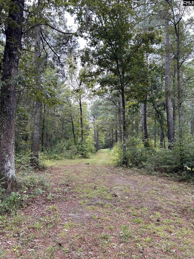 8200 Salem Rd, New Zion, SC 29111