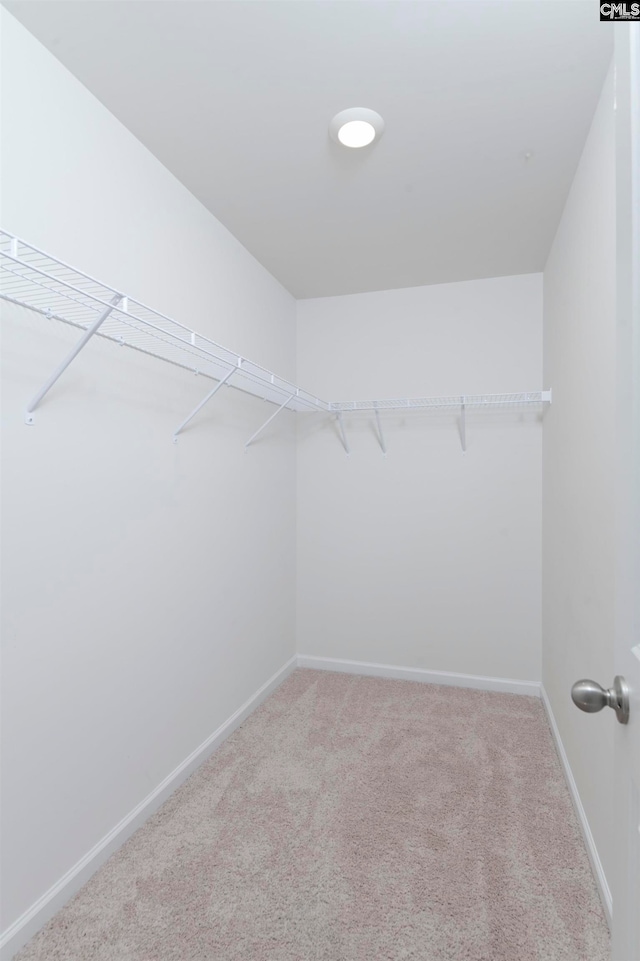 spacious closet with carpet flooring