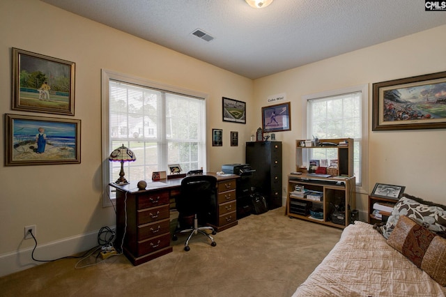 home office with light colored carpet and a textured ceiling