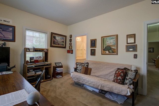 office featuring a textured ceiling and carpet floors