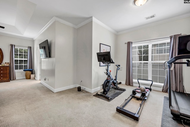 exercise area featuring carpet and crown molding