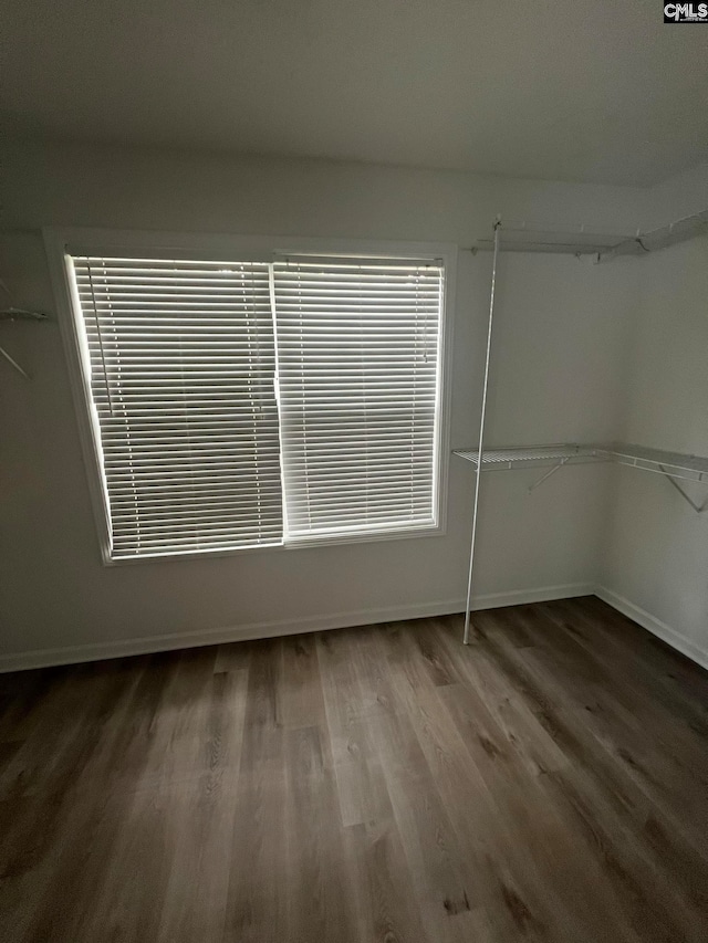 spacious closet featuring hardwood / wood-style floors