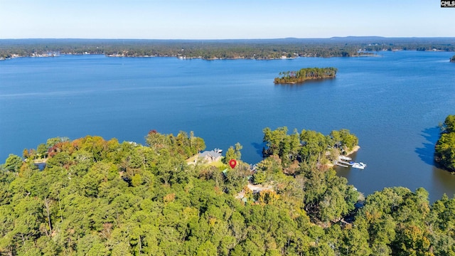 234 Turtle Trl, Leesville, SC 29070 - water view featuring a forest