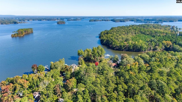 234 Turtle Trl, Leesville, SC 29070 - aerial view of property and surrounding area featuring a nearby body of water and a heavily wooded area