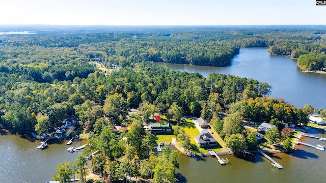234 Turtle Trl, Leesville, SC 29070 - aerial overview of property's location with a forest and a large body of water