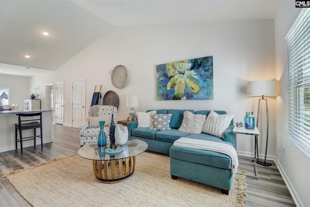 living room featuring hardwood / wood-style flooring and high vaulted ceiling