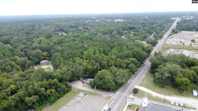 Listing photo 3 for 201 Fox St, Batesburg SC 29006