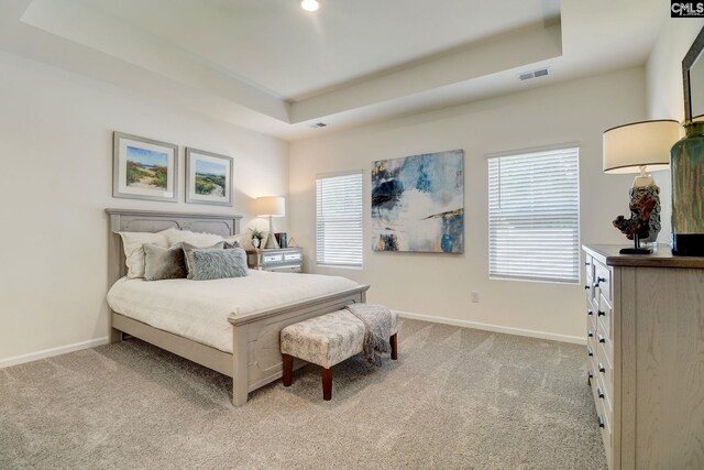 bedroom featuring a raised ceiling and light colored carpet