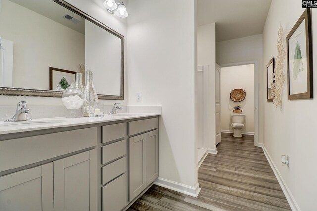 bathroom with wood-type flooring, vanity, and toilet