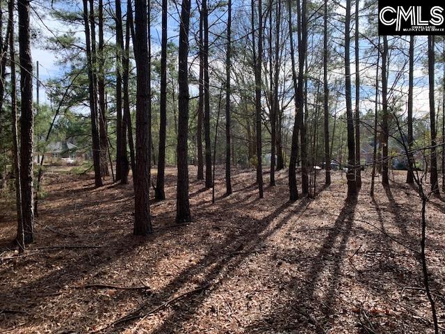 E/S Pine Grove Rd, Blythewood SC, 29016 land for sale