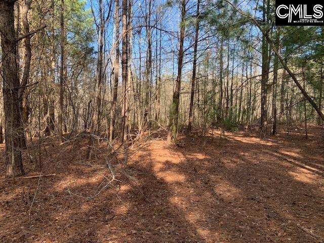 Listing photo 3 for E/S Pine Grove Rd, Blythewood SC 29016