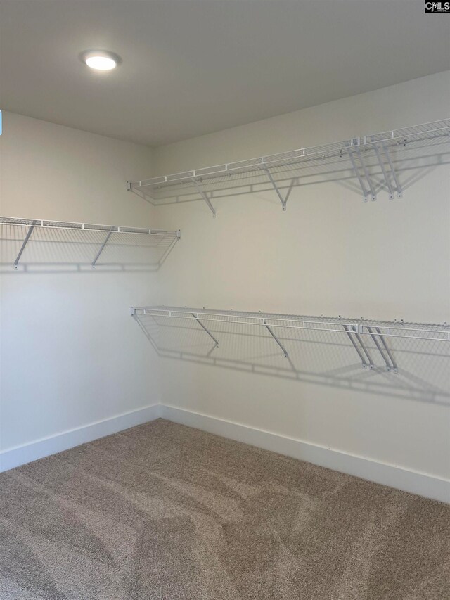 walk in closet with carpet