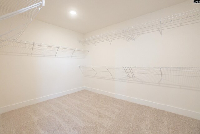 walk in closet featuring carpet flooring