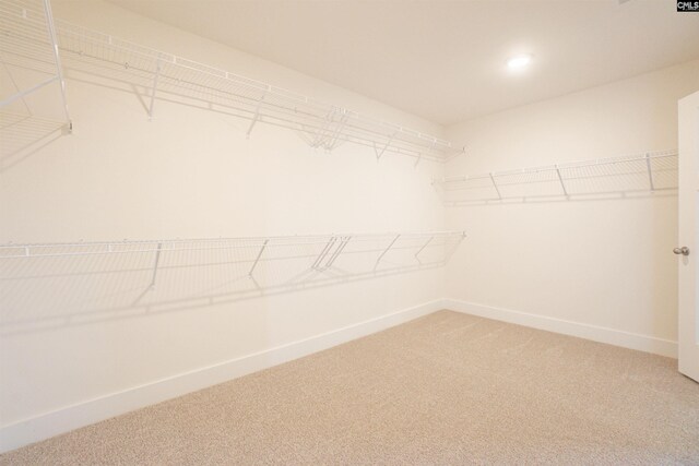 spacious closet with carpet