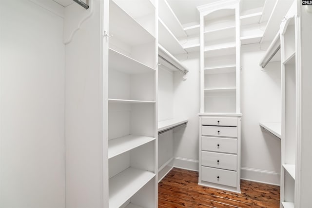 spacious closet featuring dark hardwood / wood-style flooring