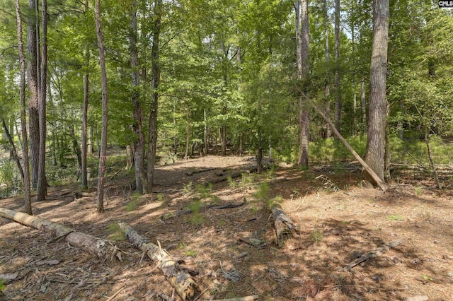 TBD Retreat Way Unit Parcel B, Ridgeway, SC 29130