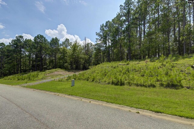 TBD Retreat Way Unit Parcel B, Ridgeway, SC 29130