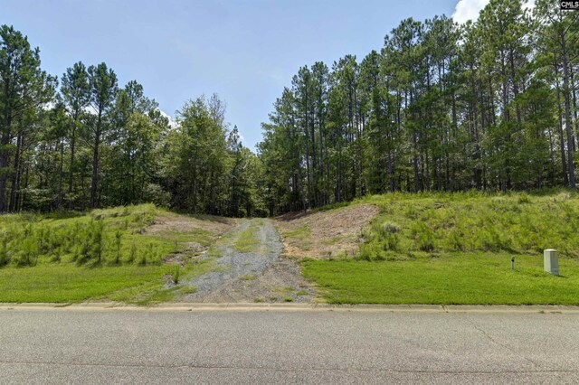 TBD Retreat Way Unit Parcel B, Ridgeway, SC 29130