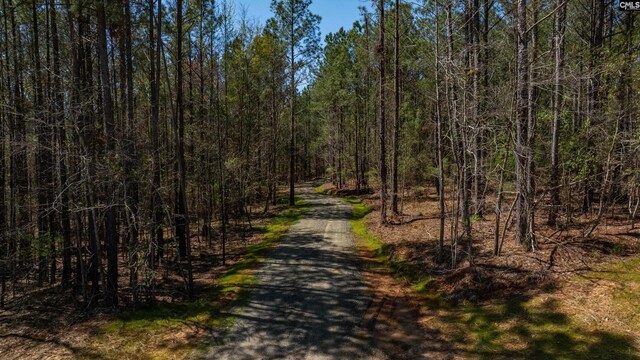 TBD Retreat Way Unit Parcel B, Ridgeway, SC 29130