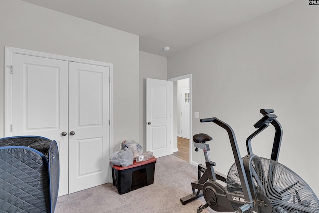 exercise area featuring light colored carpet