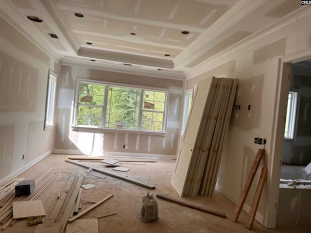 interior space with ornamental molding and a tray ceiling