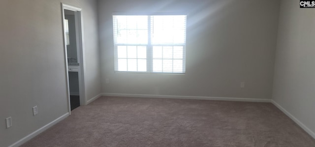 spare room with carpet flooring