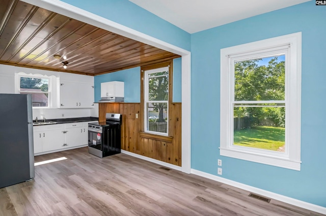 kitchen with a wealth of natural light, light hardwood / wood-style floors, and appliances with stainless steel finishes