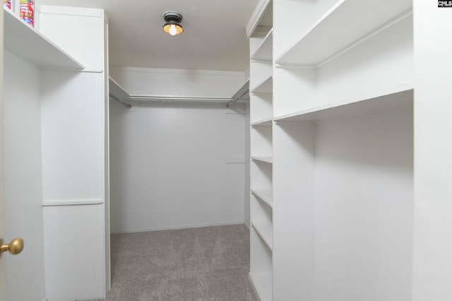 walk in closet featuring carpet