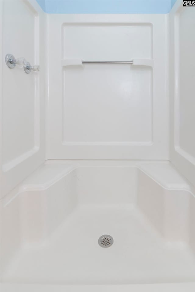 bathroom with a shower