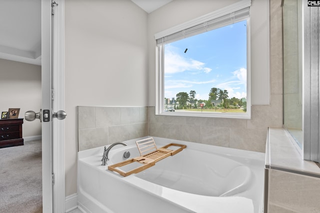 bathroom featuring a washtub and plenty of natural light