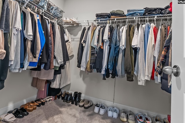 spacious closet featuring carpet floors