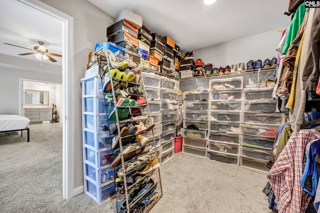 walk in closet with ceiling fan and carpet