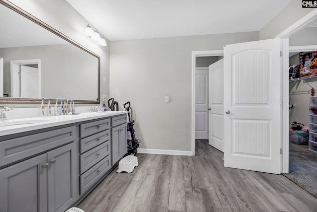 bathroom featuring wood-type flooring and vanity