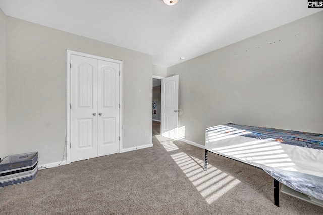 bedroom featuring carpet floors and a closet