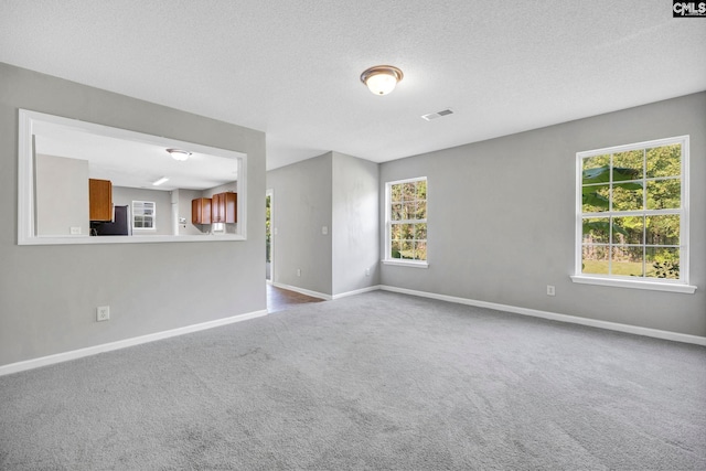 carpeted spare room with a textured ceiling