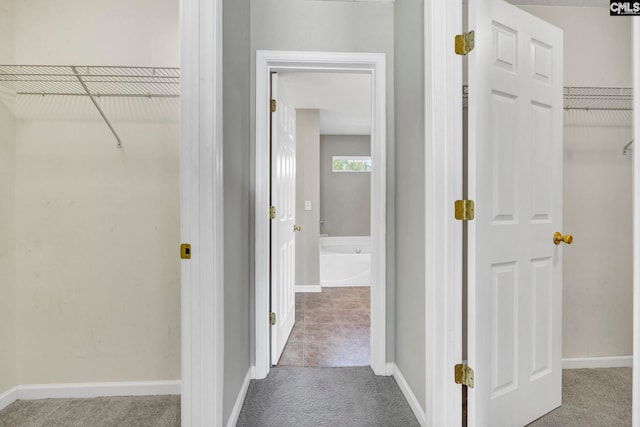 corridor featuring carpet flooring