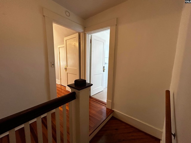 hallway with dark wood-type flooring