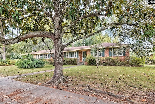 ranch-style home featuring a front lawn and brick siding