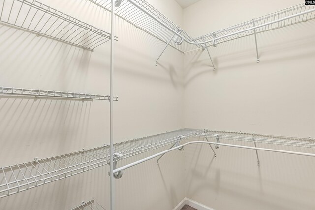 25 Eason Ct, Columbia, SC 29209 - view of spacious closet