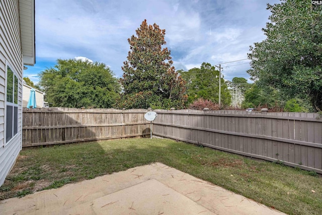 view of yard featuring a patio