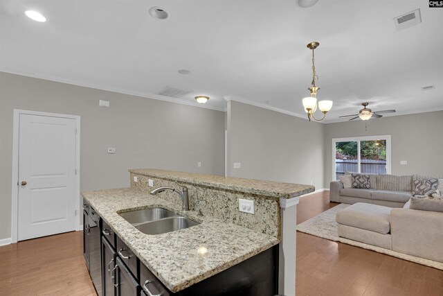 25 Eason Ct, Columbia, SC 29209 - kitchen with a sink, a ceiling fan, open floor plan, light wood-type flooring, and visible vents