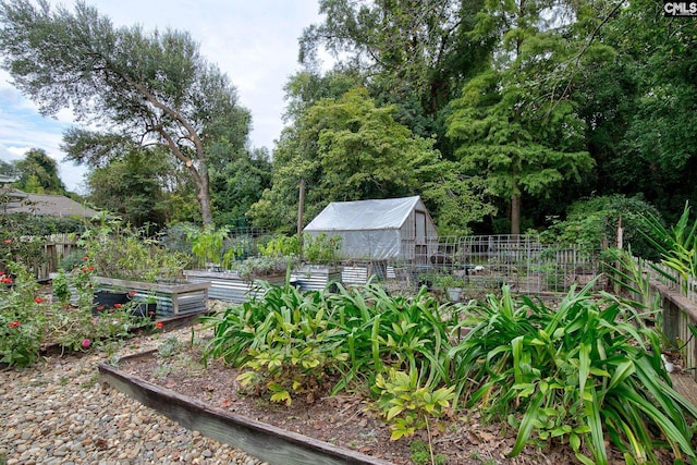 view of yard featuring an outdoor structure