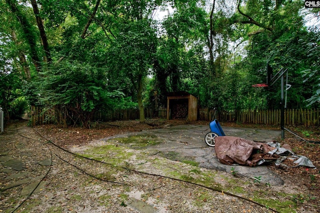 view of yard featuring a storage unit