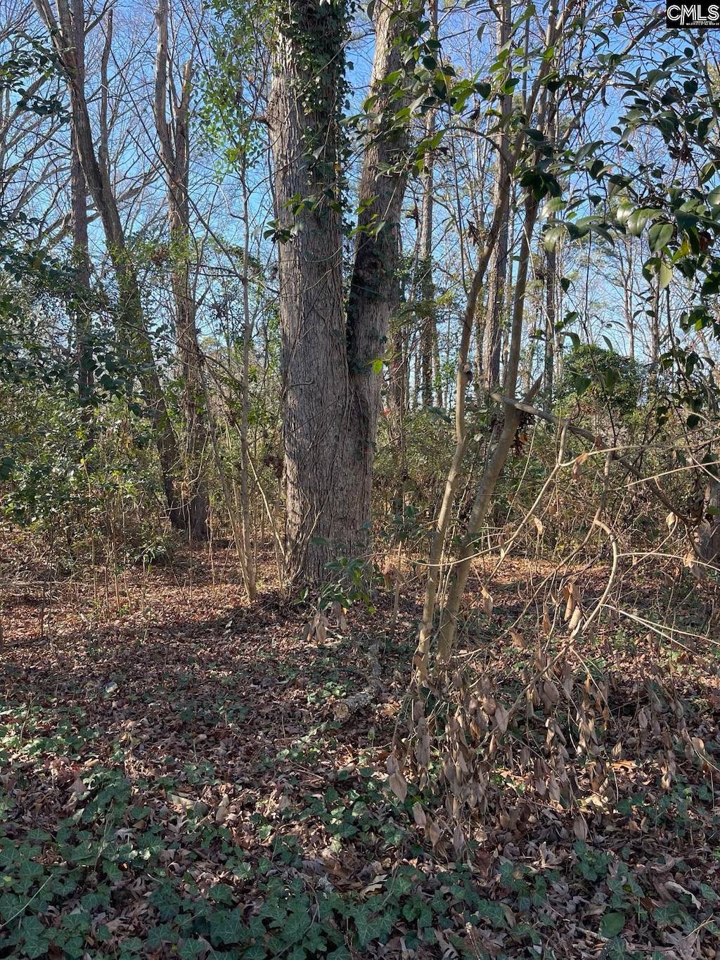 18 Crescent Ln, Irmo, SC 29212